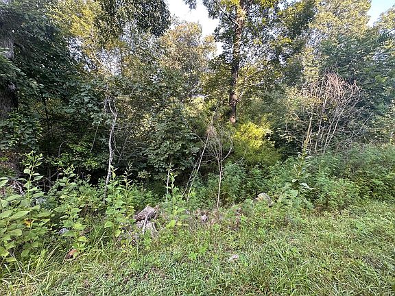 2nd image of LOT 48 Emerald Way