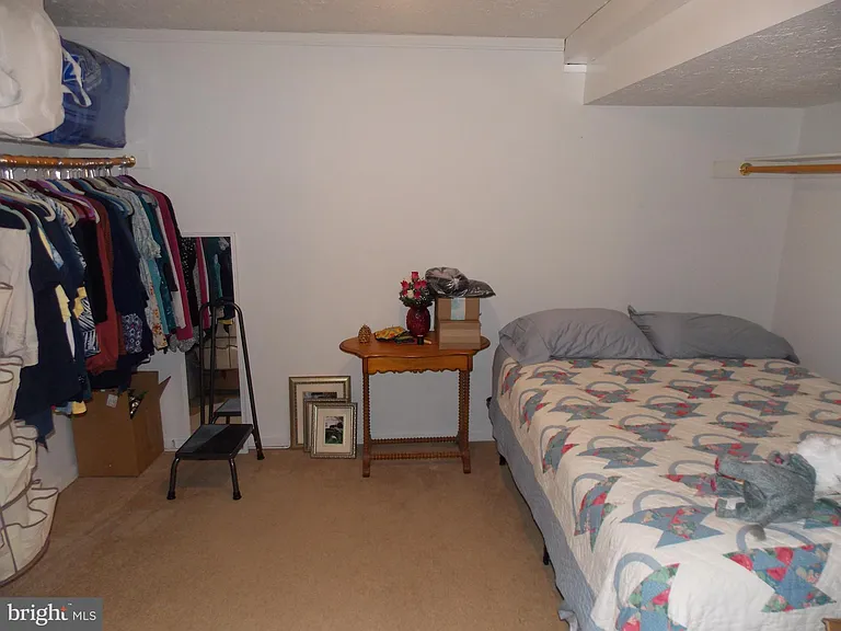 37481 Harrow Hills Ct — Photo 10