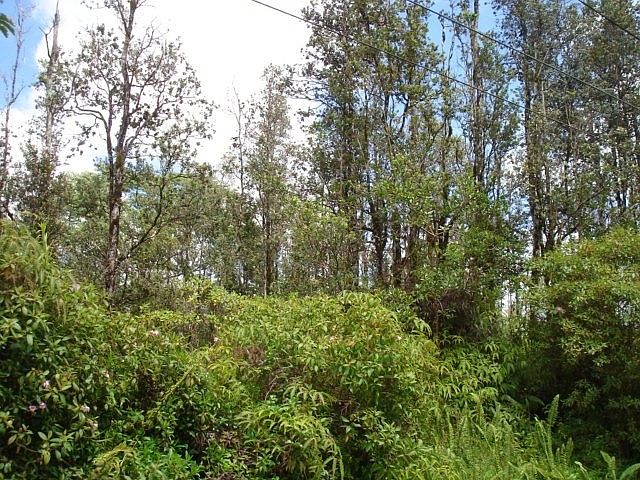 1st image of Mauna Kea Dr Lot 17