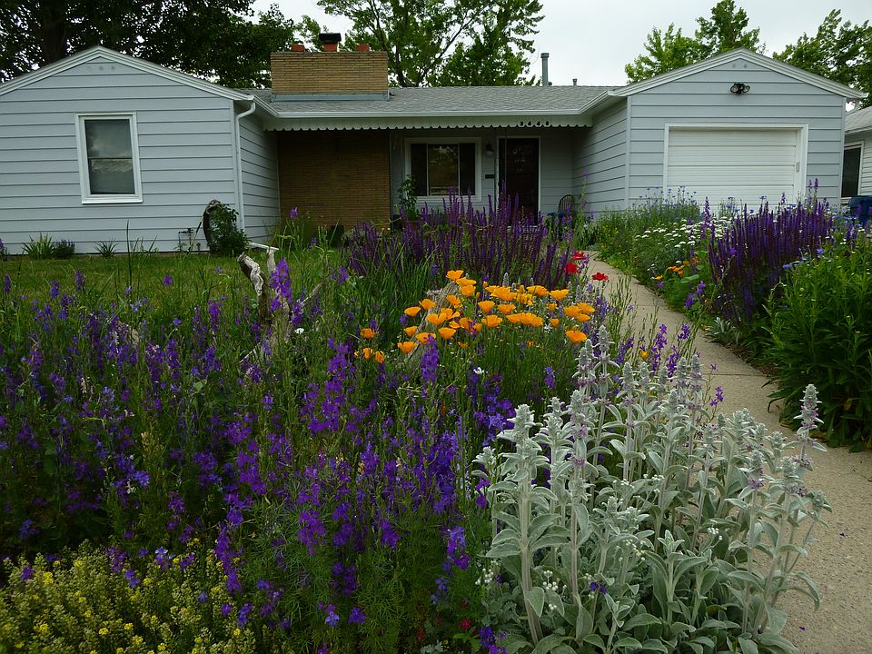 Front Yard