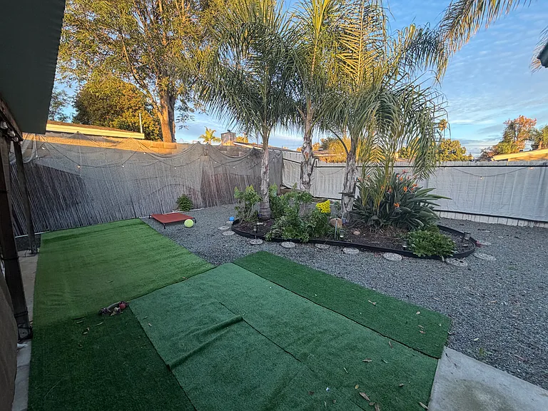 Back yard