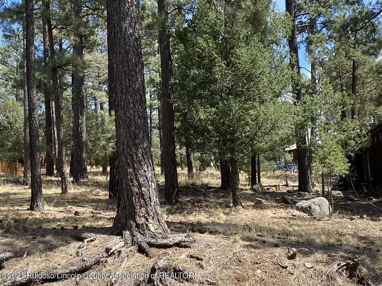 209 Brentwood Dr photo 1