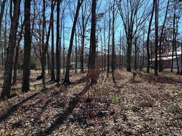 LOT 125 Hidden Cove Rd, Cedar Bluff, AL 35959