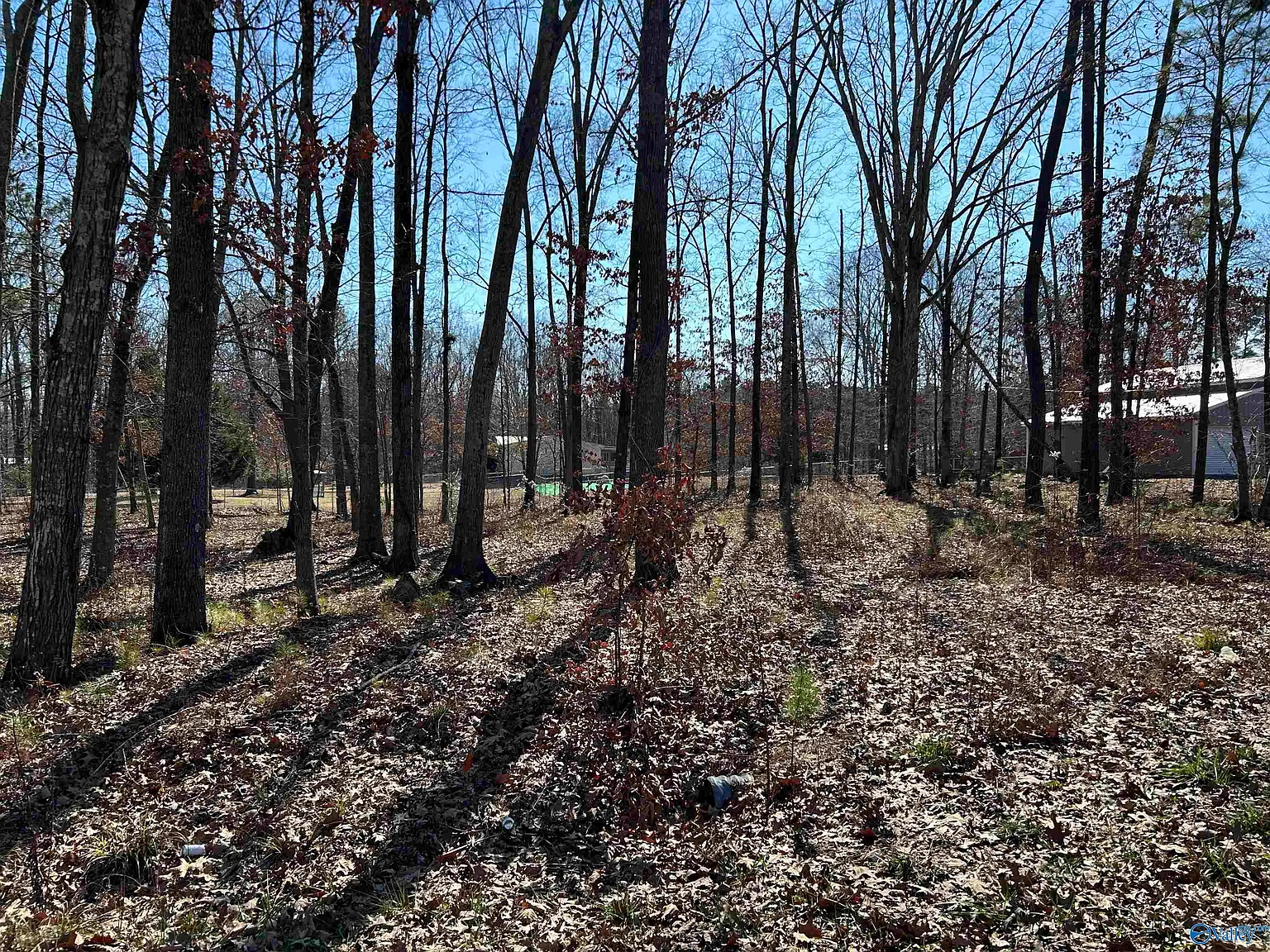 LOT 125 Hidden Cove Rd photo 1