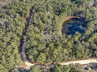 LOT 24 Blue Creek Rd, Ponce De Leon, FL 32455