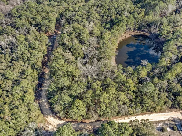 LOT 24 Blue Creek Rd, Ponce De Leon, FL 32455