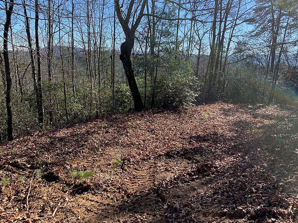 1st image of Ivy Ln