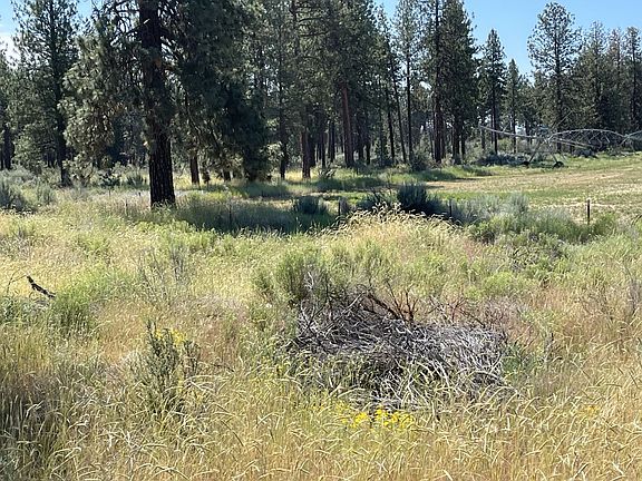 3rd image of S Chiloquin Rd