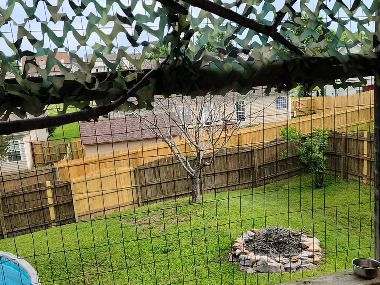 Zither Ln — Photo 18
