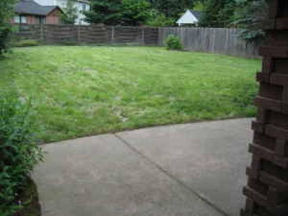 Fenced Backyard