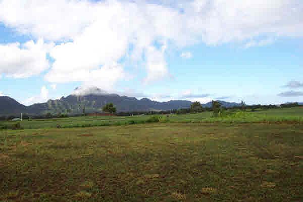 2nd image of 2316 Waiohia Pl