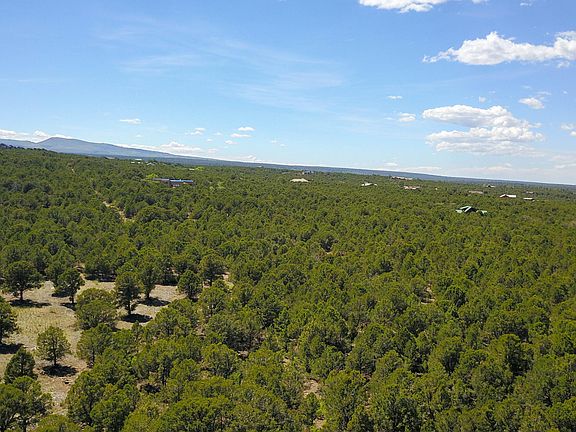 5th image of Tbd Pine Dr