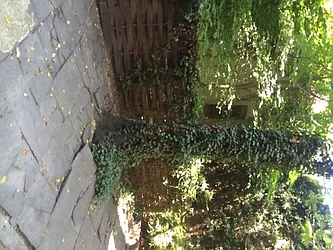 Rented by Best Apartments North Inc