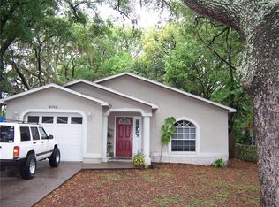 8006 N Gomez Ave, Tampa, FL 33614