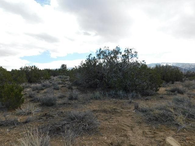 2nd image of Cholla Rd