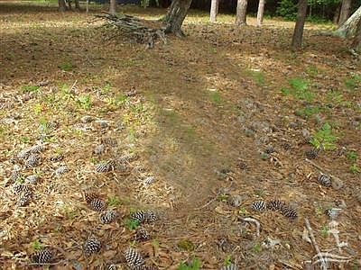 4th image of Devaun Park Boulevard LOT 124