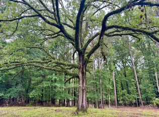 493 Gus Green Rd, Flora, MS 39071