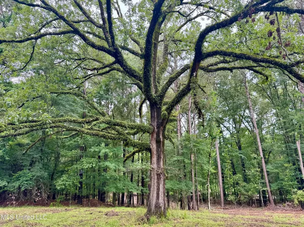 493 Gus Green Rd, Flora, MS 39071
