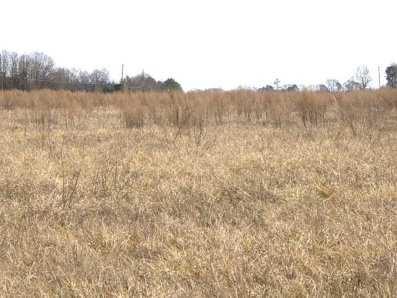 4th image of 0 Nancy Hart School Rd