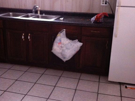 Basement Kitchen