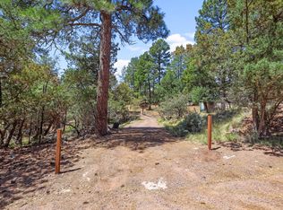 3429 N Hillside Rd, Pine, AZ 85544