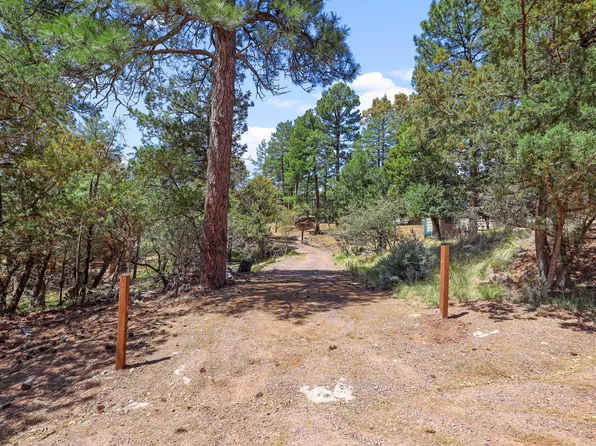 3429 N Hillside Rd, Pine, AZ 85544