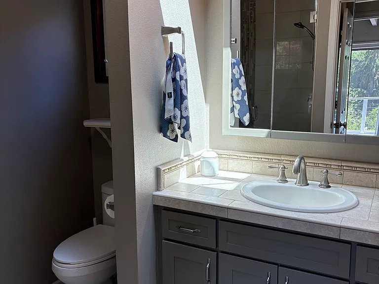 primary ensuite bathroom