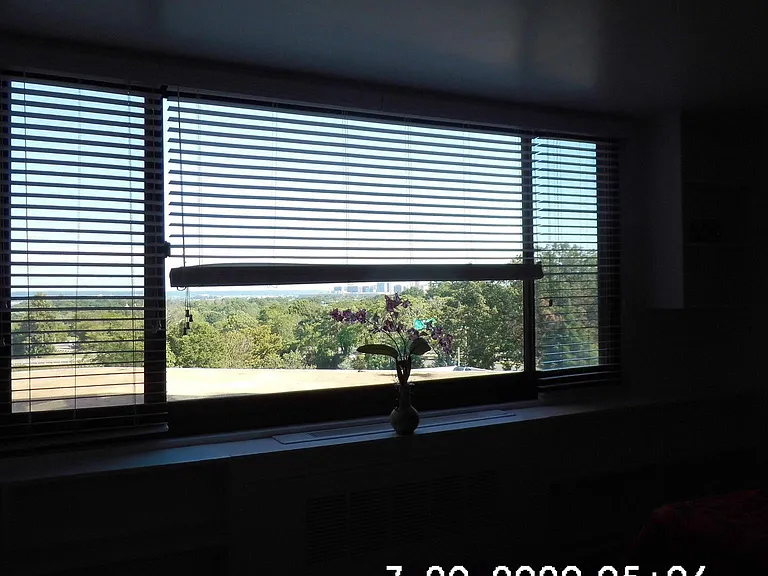 1011 Arlington Blvd #538 — Photo 16