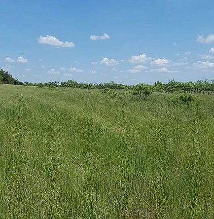 5th image of County Road 301