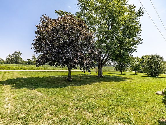 5th image of 241 Corinth Rd