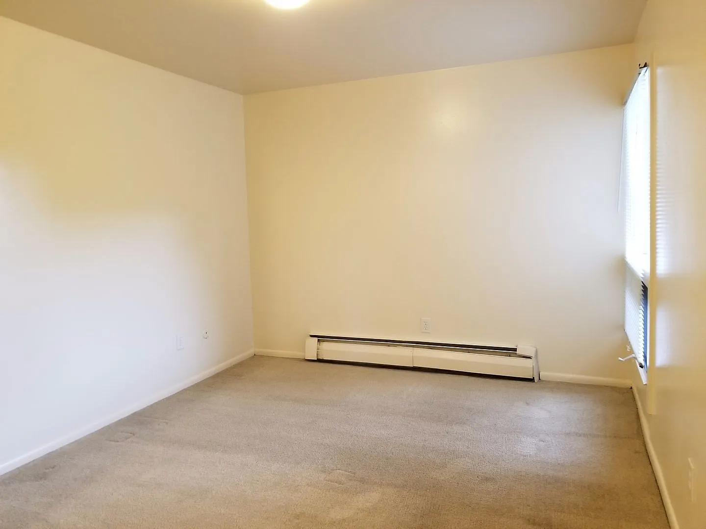 Seven Thirty, LLC (735) — Photo 4