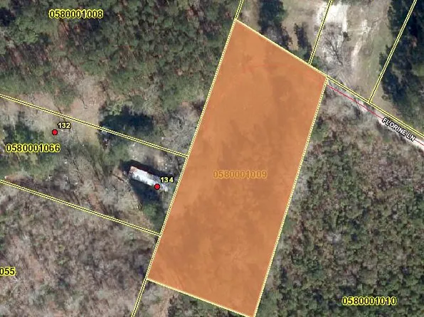0 Florine Ln, Bonneau, SC 29431