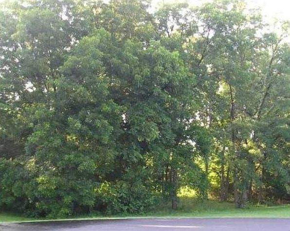 1st image of 2200 Quail Creek Dr #4