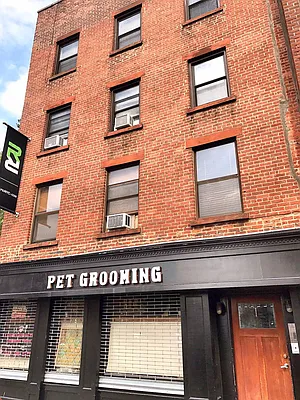 Rented by Rapid Realty Cobble Hill | media 33