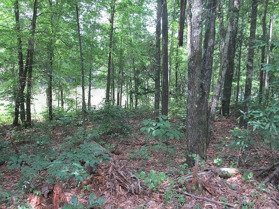 5th image of 100 Peachwood Dr