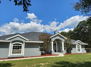 10875 SE 165th Terrace Rd, Ocklawaha, FL 32179