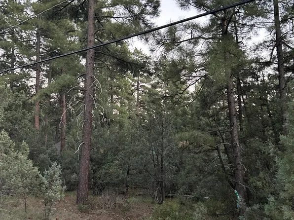 9185 W Tonto Rim Drive #-, Strawberry, AZ 85544