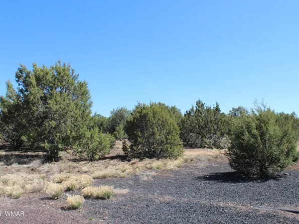 28 County Road 3099 N, Vernon, AZ 85940