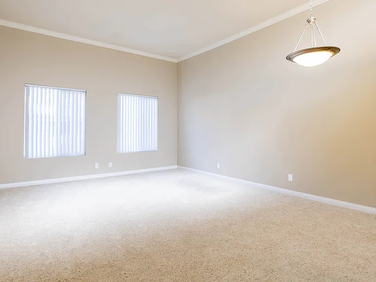 Carpeted Studio Living Room