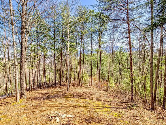2nd image of 2752 Blue Springs Way