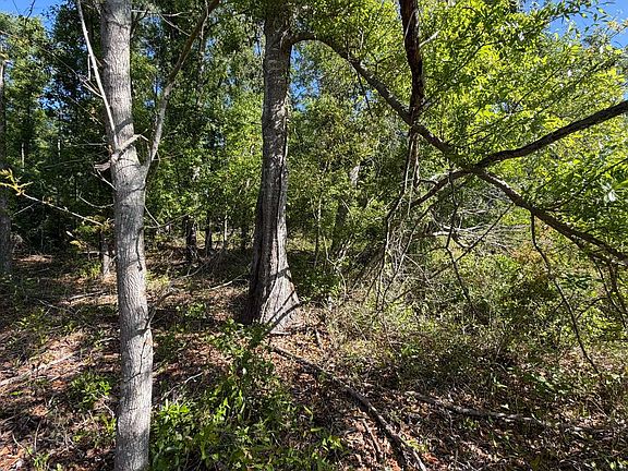 3rd image of Tbd 217th Rd