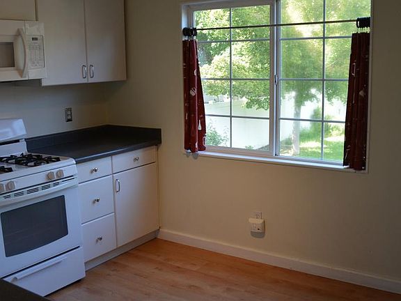 kitchen looking into yard