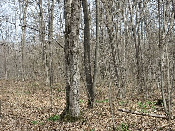 4th image of 0 Z Road