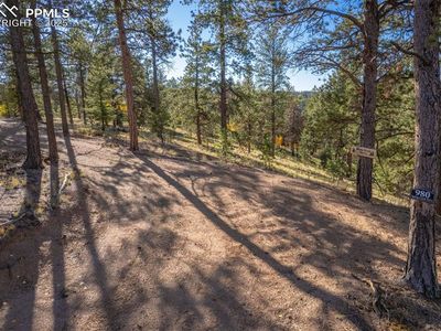 980 Spring Creek Dr, Divide, CO, 80814