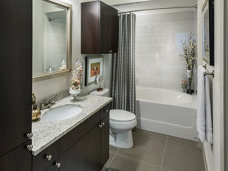 Spa-inspired bathrooms with large soaking tub