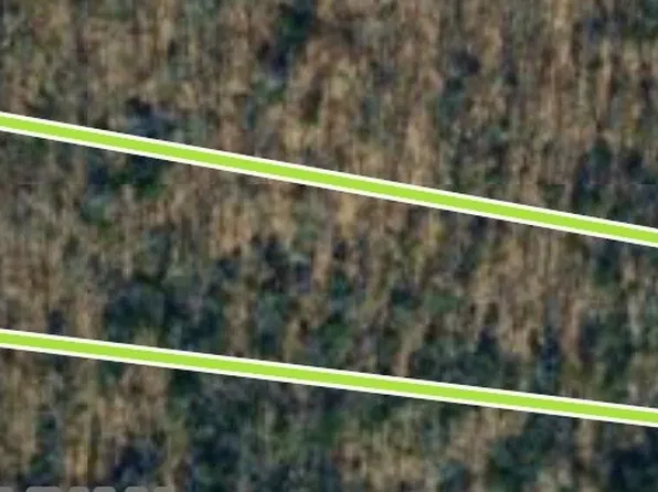 5 Delina Rd, Cornersville, TN 37047