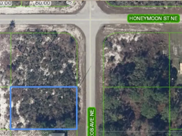 439 Keos Ave NE, Lake Placid, FL 33852