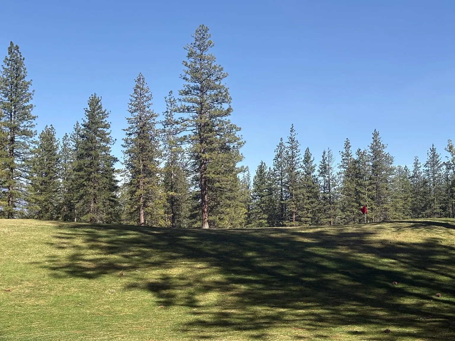 LOT 8 Harney Ct photo 1