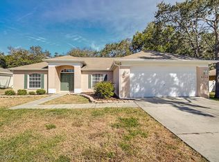 6213 Newmark St, Spring Hill, FL 34606