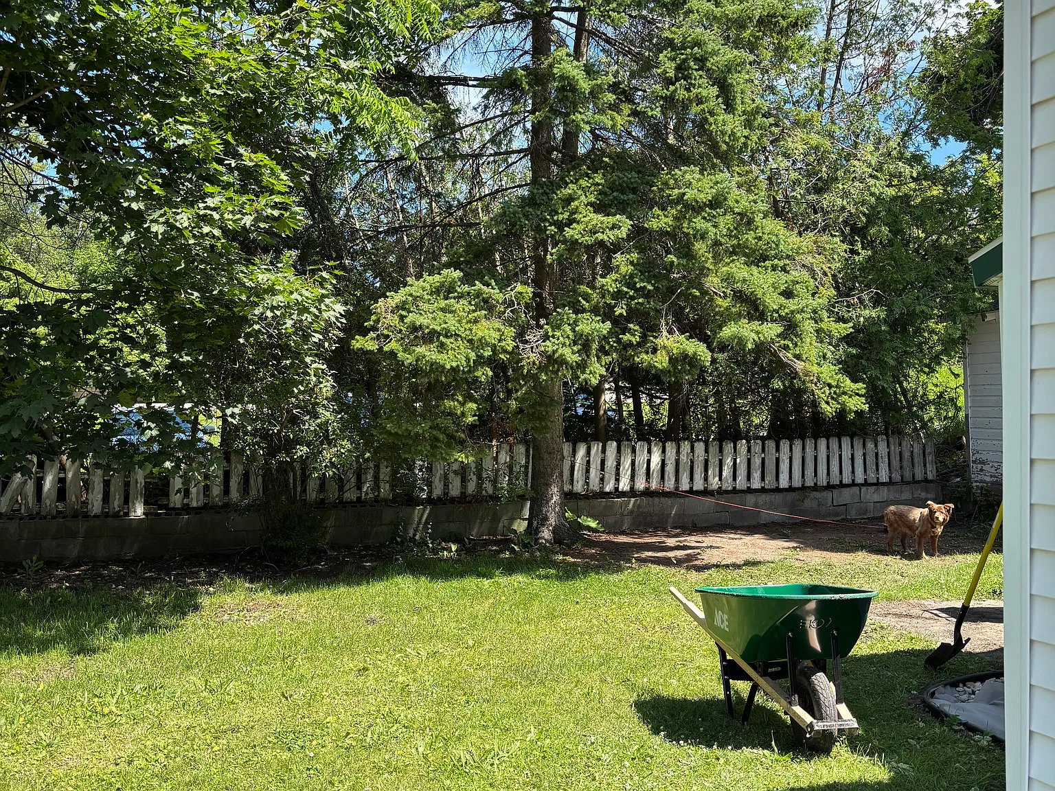 3 bed, 1.5 bath, 1000 sqft, $2,125 — Photo 3